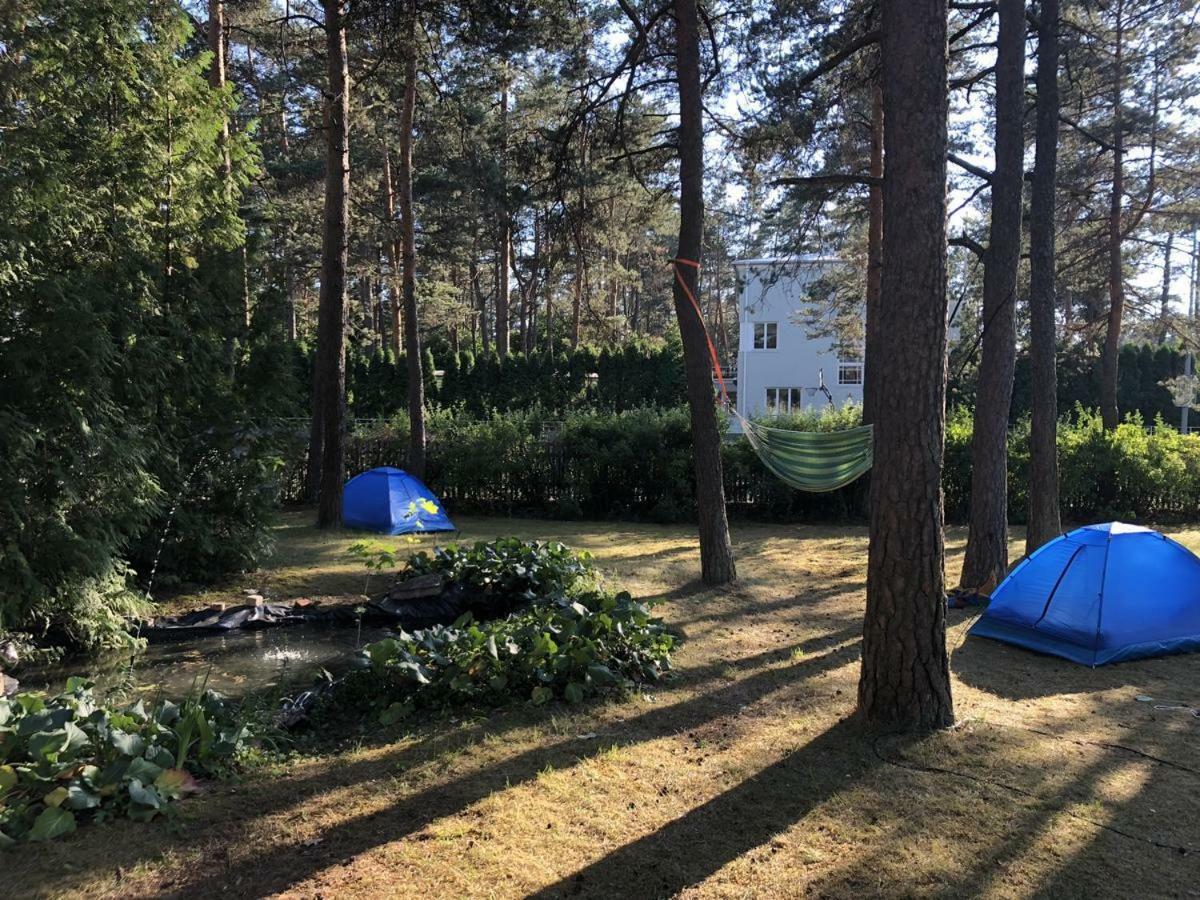 Freedom65 Hostel And Caravan Tallinn Dış mekan fotoğraf